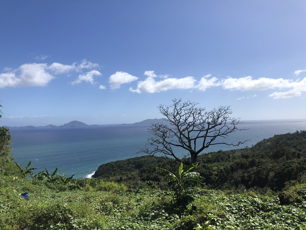 照片 瓜德罗普(Guadeloupe) 三河城(Trois Rivieres) 2021-02 7