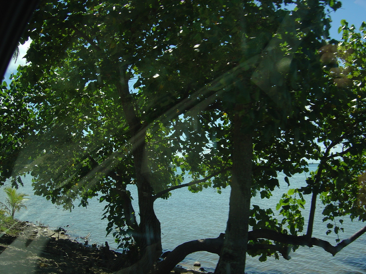 照片 波利尼西亚(Polynesia) 波拉波拉岛(Bora Bora) 2006-04 141