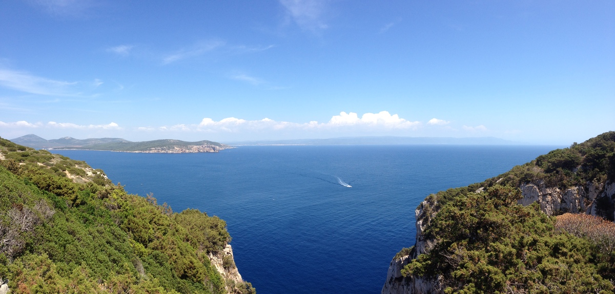 照片 意大利(Italy) 撒丁岛(Sardinia) 孔特港地区自然公园(Porto Conte Regional Natural Park) 2015-06 43