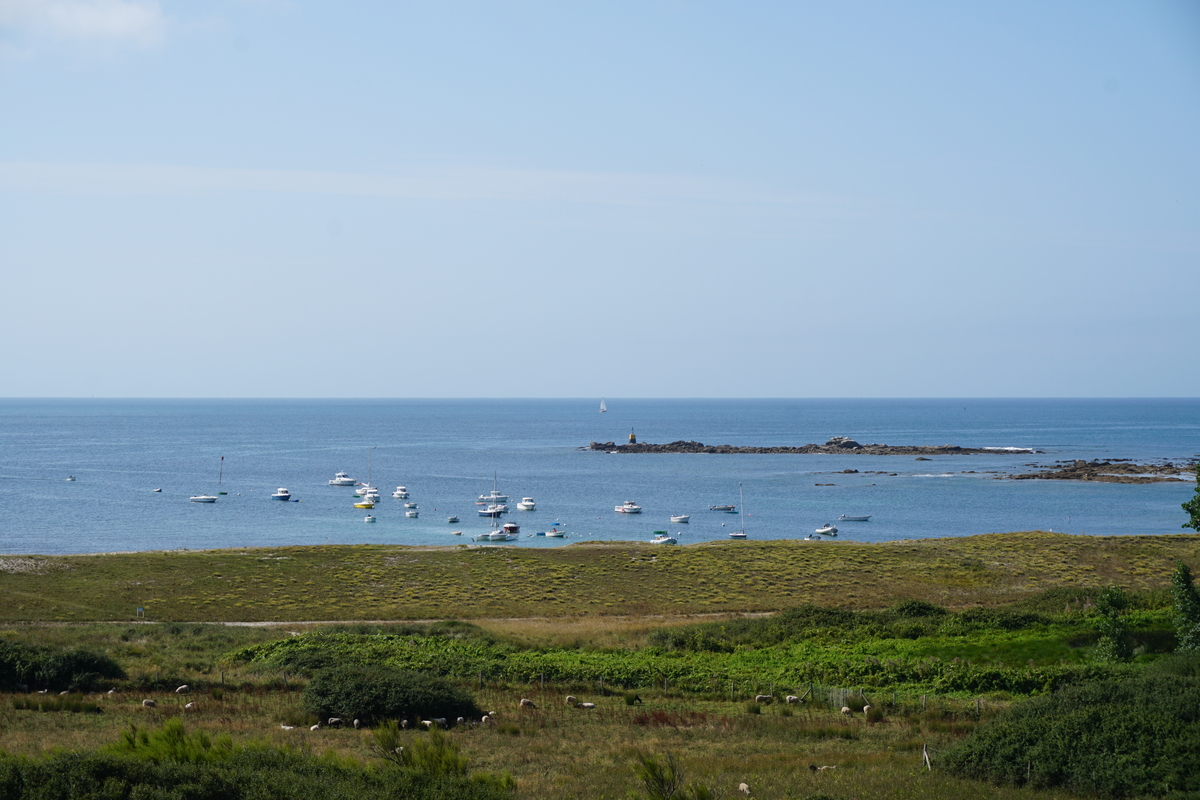 照片 法国(France) 厄迪克岛(Hoedic) 2016-08 71