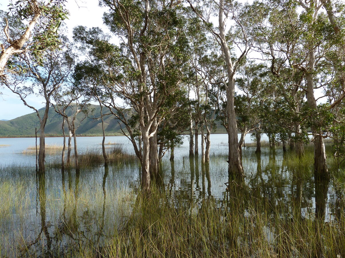 照片 新喀里多尼亚(New Caledonia) 2010-05 40