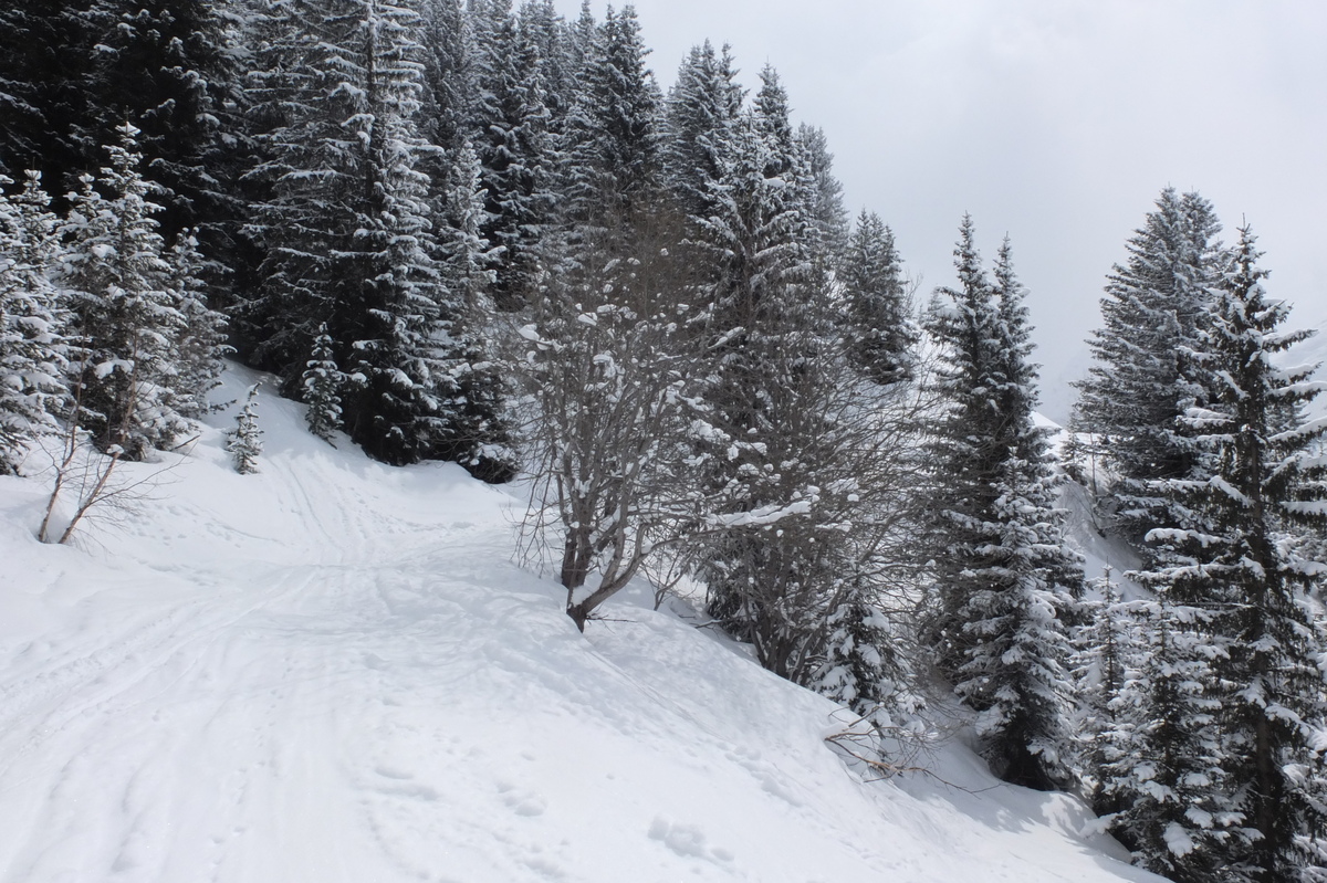 照片 法国(France) 三峡谷滑雪场(Les 3 Vallees) 2013-03 333