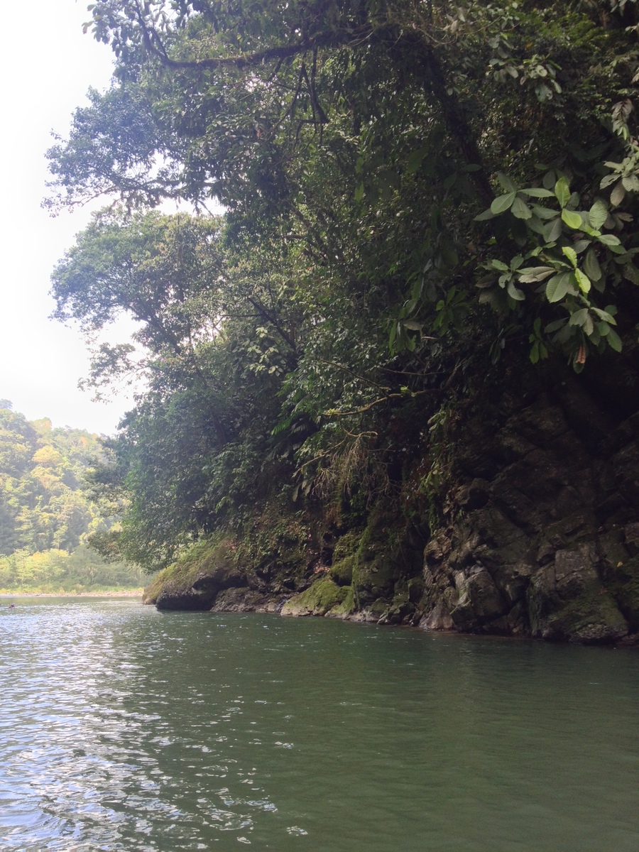 照片 哥斯达黎加(Costa Rica) 帕夸雷河(Pacuare River) 2015-03 237