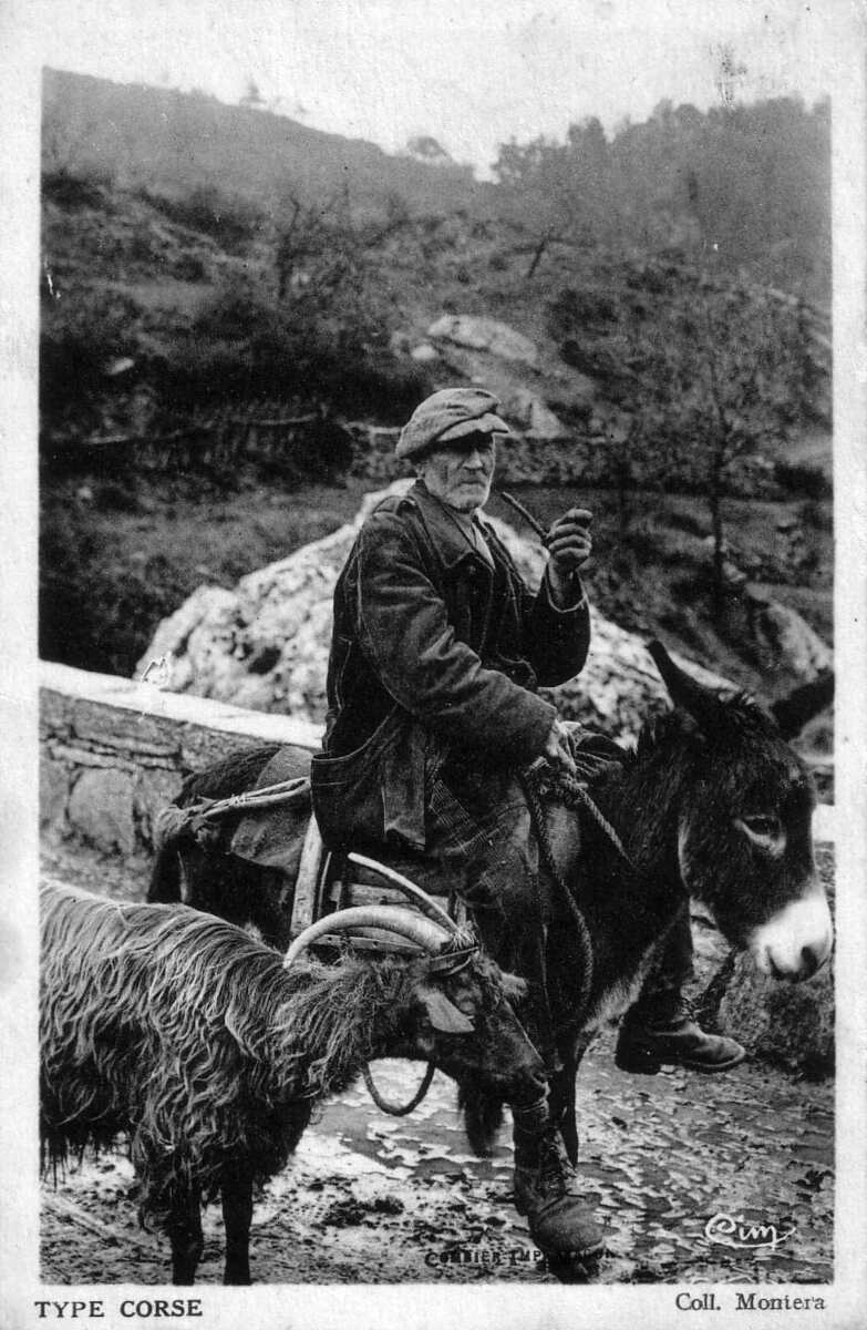 照片 法国(France) 科西嘉岛(Corsica) 老明信片(Old Postcards) 1900-01 318