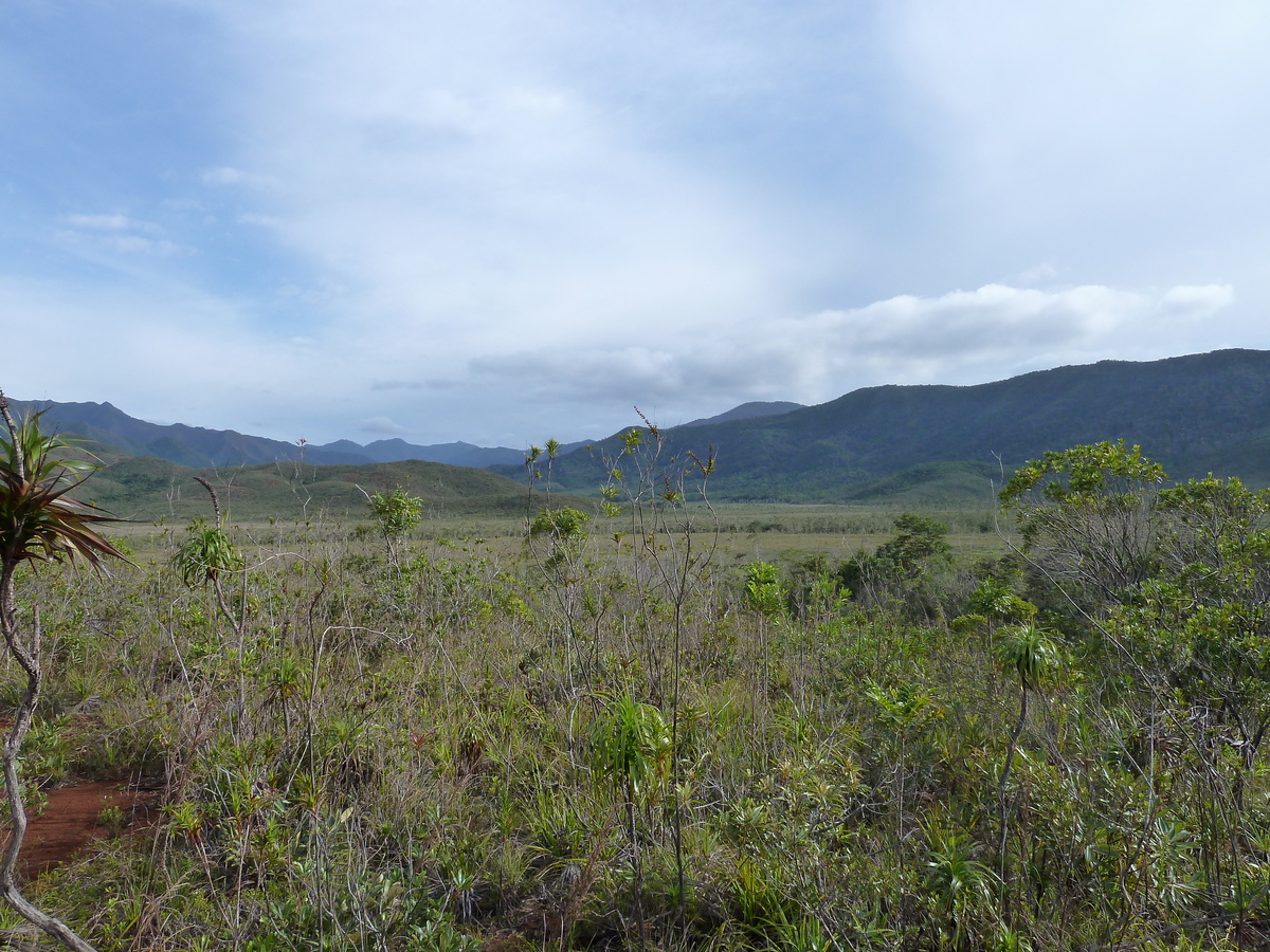 照片 新喀里多尼亚(New Caledonia) 蓝河公园(Parc de la Riviere Bleue) 2010-05 120