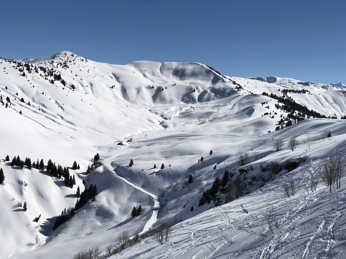 照片 法国(France) 梅杰夫(Megeve) 2019-03 82