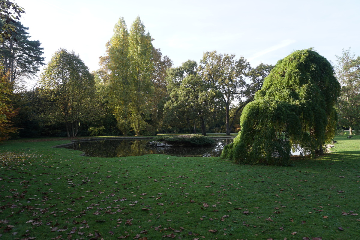 照片 法国(France) 巴黎(Paris) 巴加泰勒公园(Bagatelles) 2016-10 18