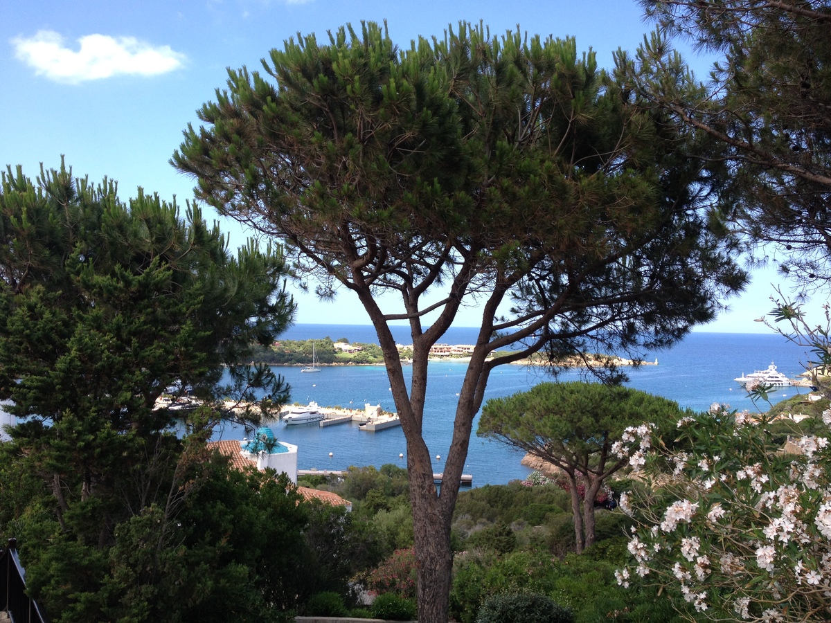 照片 意大利(Italy) 撒丁岛(Sardinia) 切尔沃港(Porto Cervo) 2015-06 47
