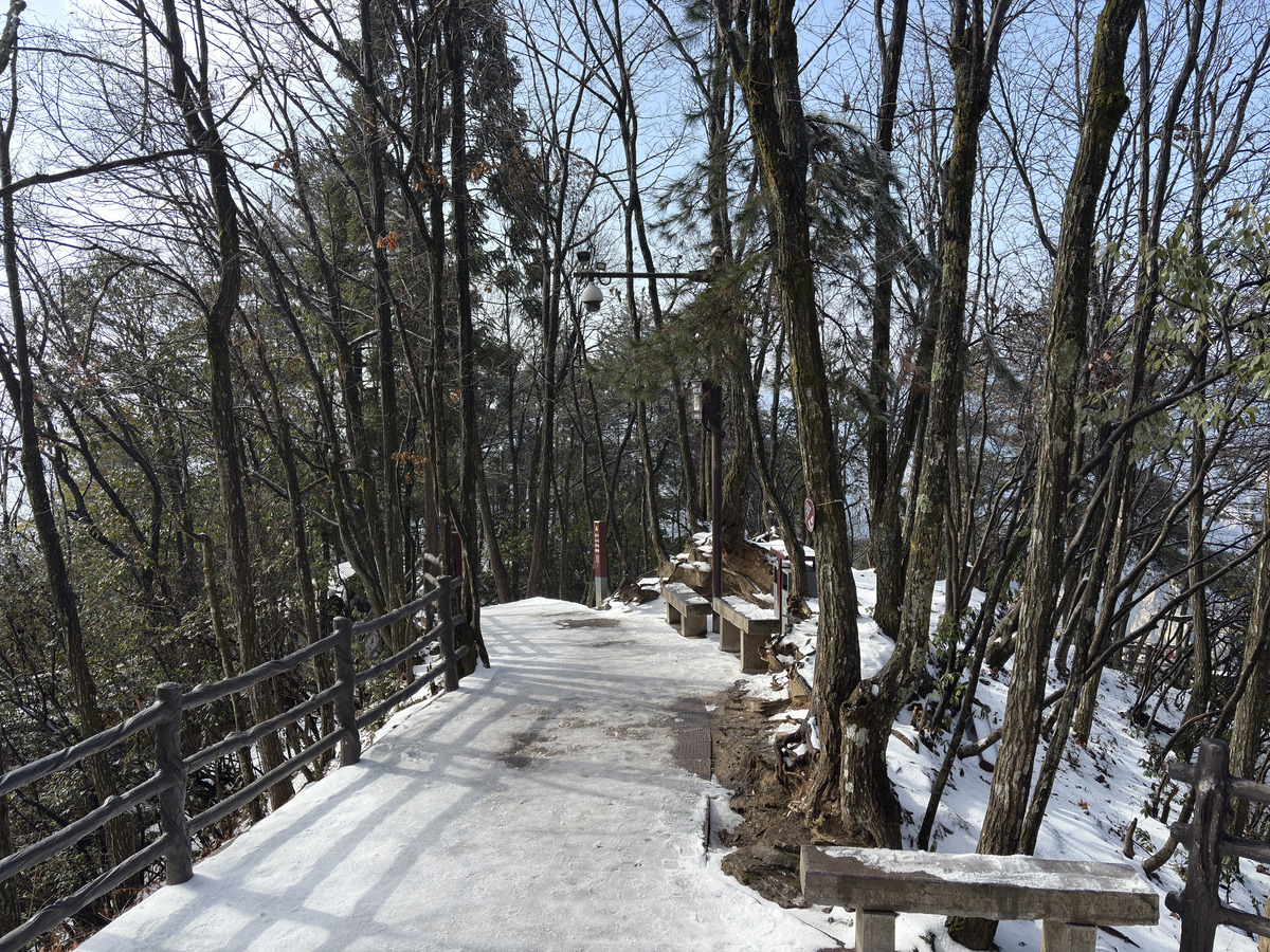 照片 中国(China) 张家界(Zhangjiajie) 天子山(Tianzi Mountain) 2026-01 228