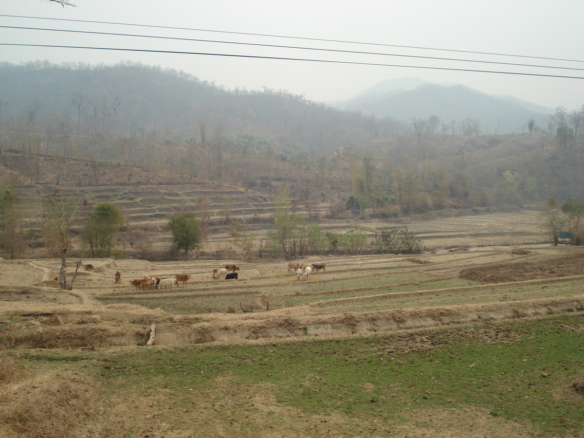 照片 泰国(Thailand) 清迈至拜县公路(Chiang Mai to Pai road) 2007-02 79