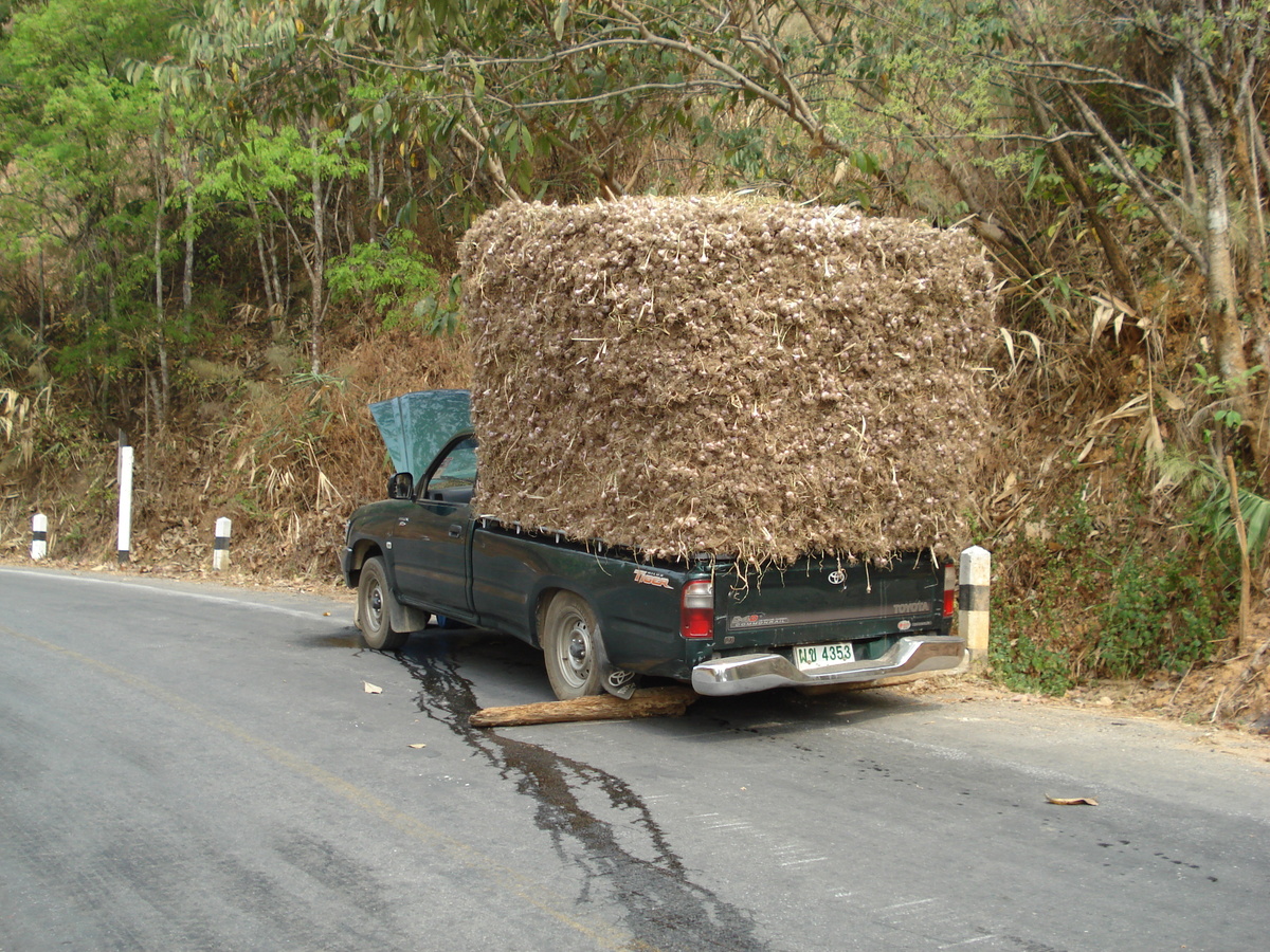 照片 泰国(Thailand) 清迈至拜县公路(Chiang Mai to Pai road) 2007-02 66