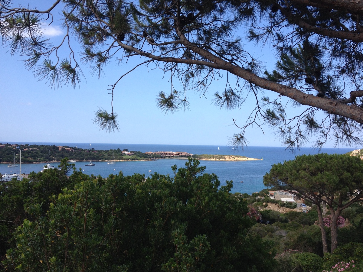 照片 意大利(Italy) 撒丁岛(Sardinia) 切尔沃港(Porto Cervo) 2015-06 15