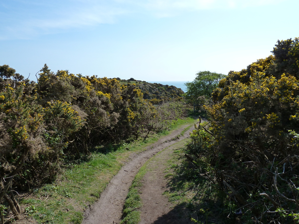 照片 泽西岛(Jersey) 2010-04 52