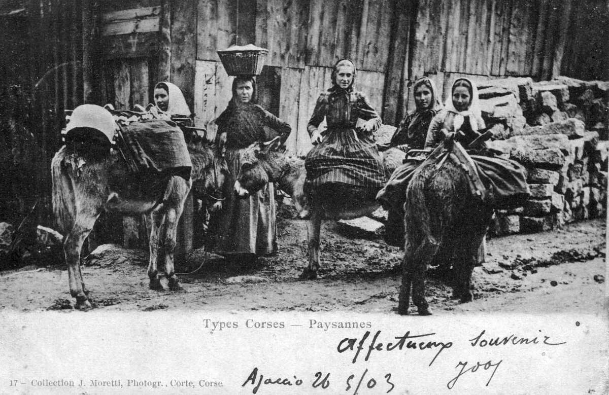 照片 法国(France) 科西嘉岛(Corsica) 老明信片(Old Postcards) 1900-01 324