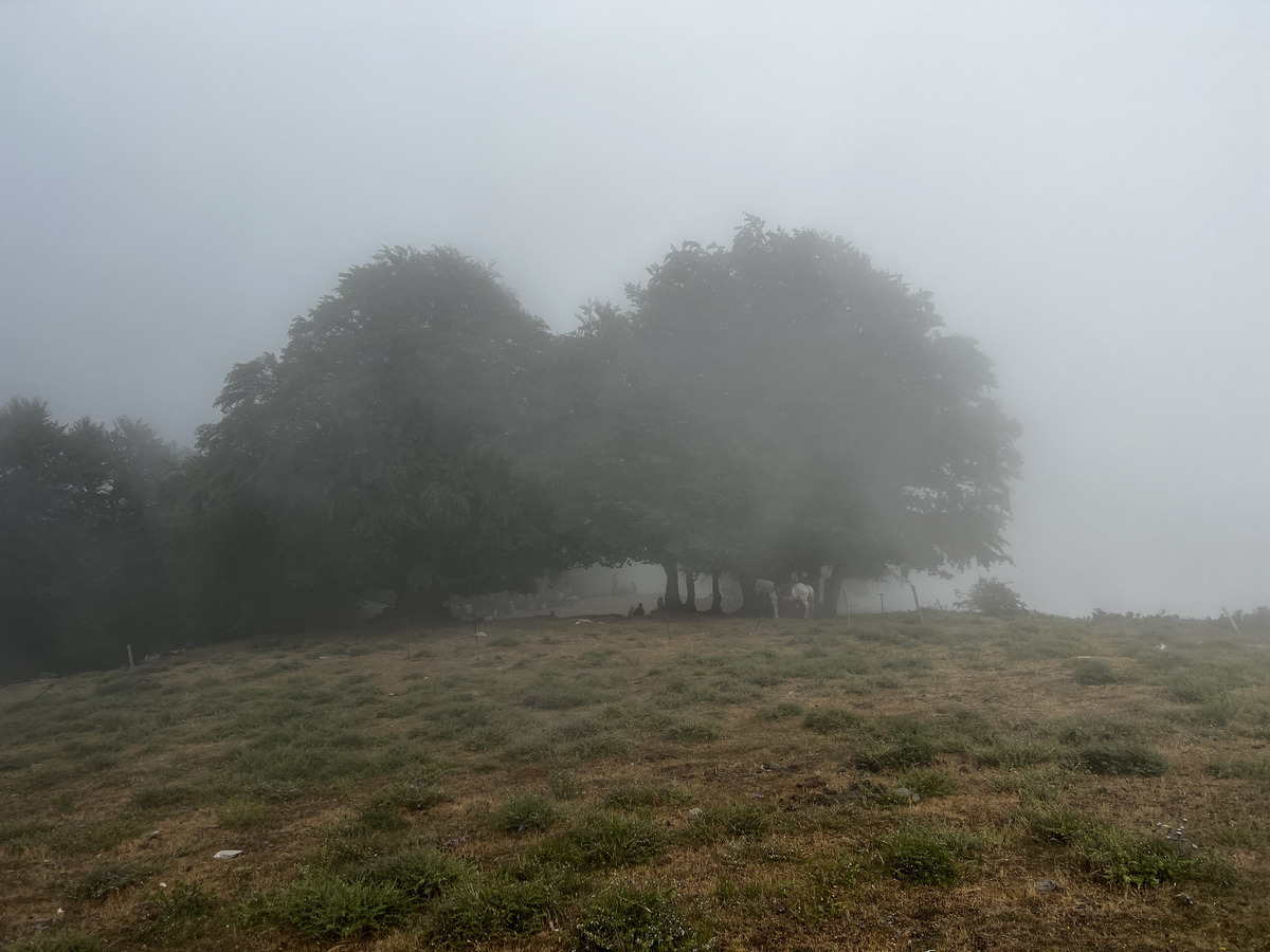 照片 法国(France) 科西嘉岛(Corsica) 卡莱鲁丘山屋(Refuge de Callerucciu) 2022-06 24