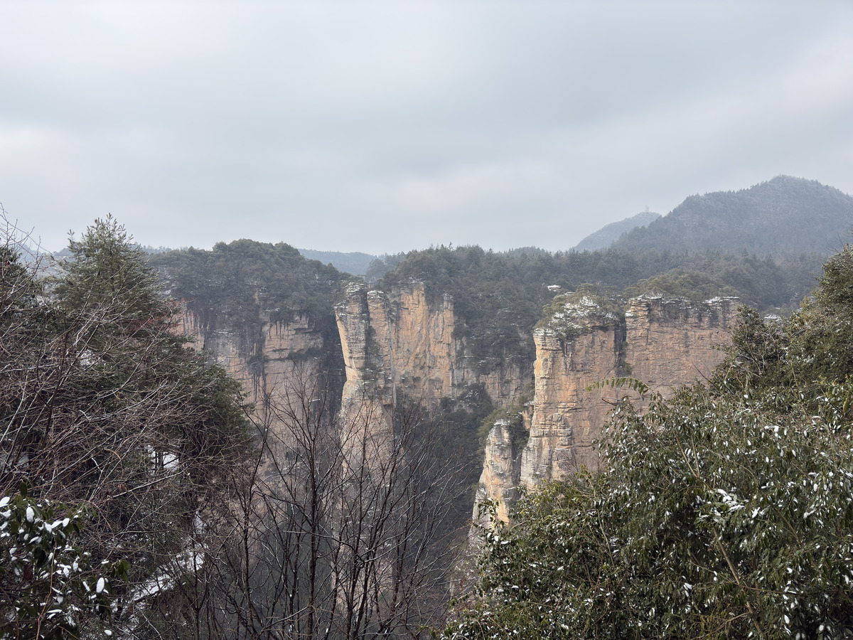 照片 中国(China) 张家界(Zhangjiajie) 2026-01 202