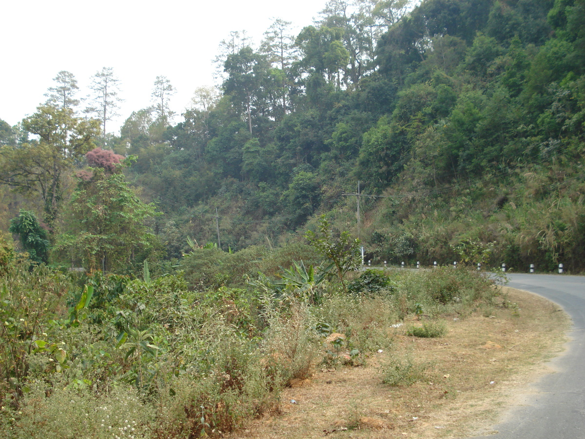 照片 泰国(Thailand) 清迈至拜县公路(Chiang Mai to Pai road) 2007-02 71