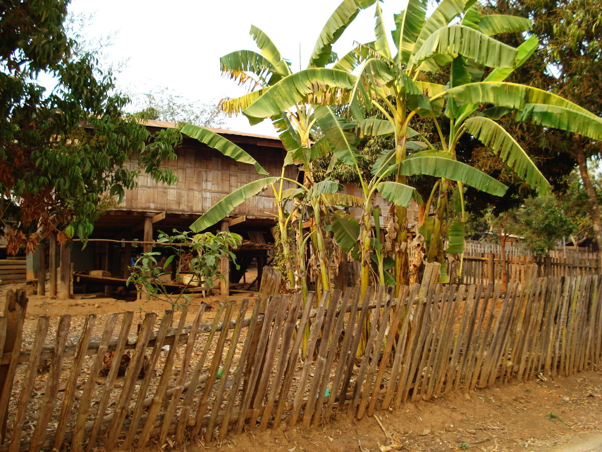 照片 泰国(Thailand) 邦玛帕(Pang Mapha) 2007-02 27