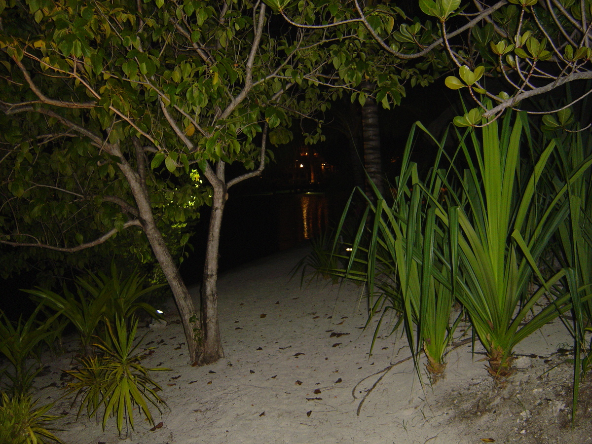 照片 波利尼西亚(Polynesia) 波拉波拉艾美酒店(Meridien Bora Bora Hotel) 2006-04 76