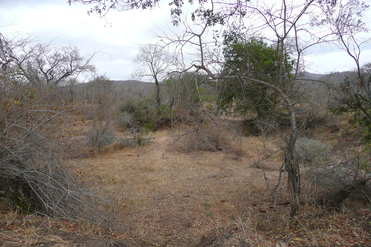 照片 南非(South Africa) 克鲁格国家公园(Kruger National Park) 2008-09 155