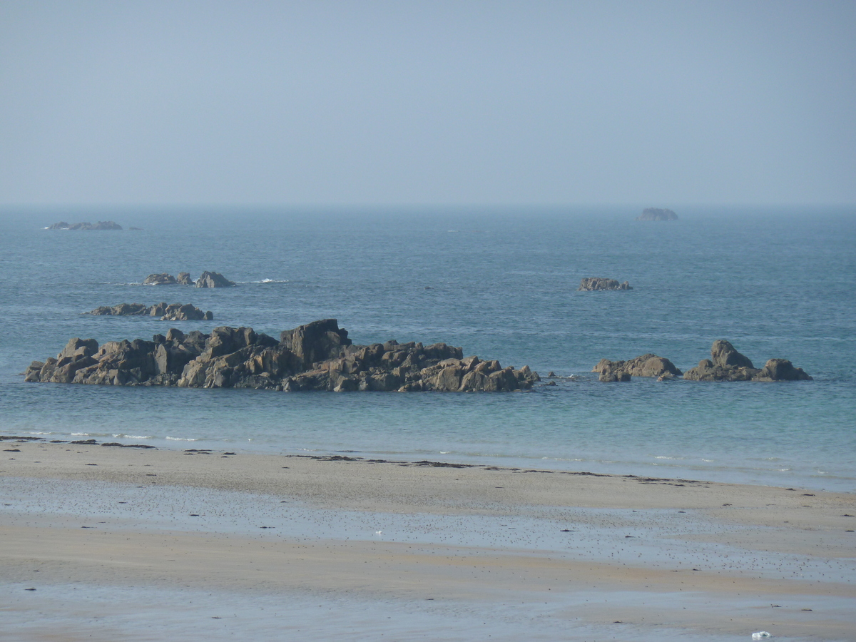 照片 泽西岛(Jersey) 2010-04 112