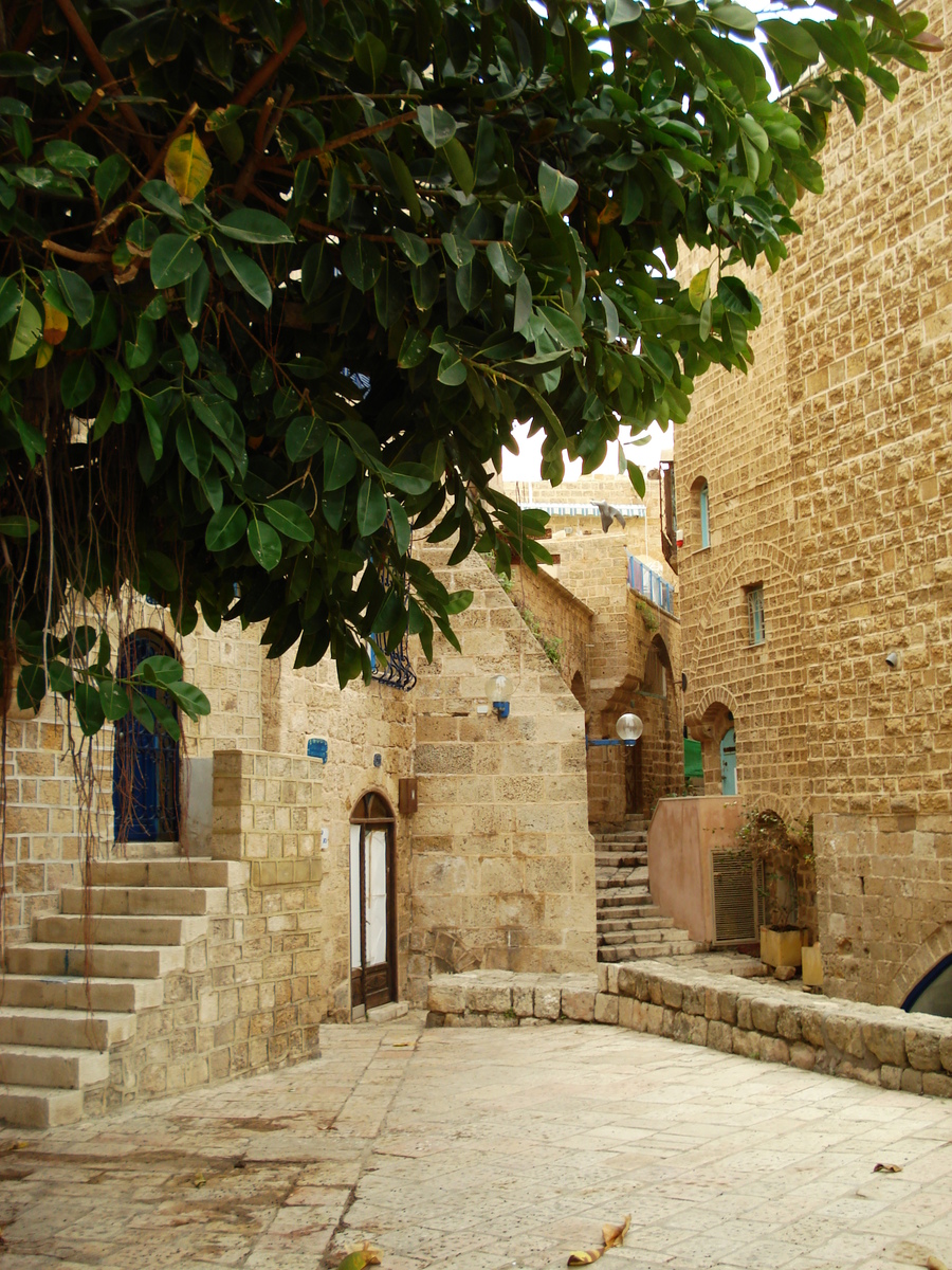 照片 以色列(Israel) 雅法(Jaffa) 2006-12 256