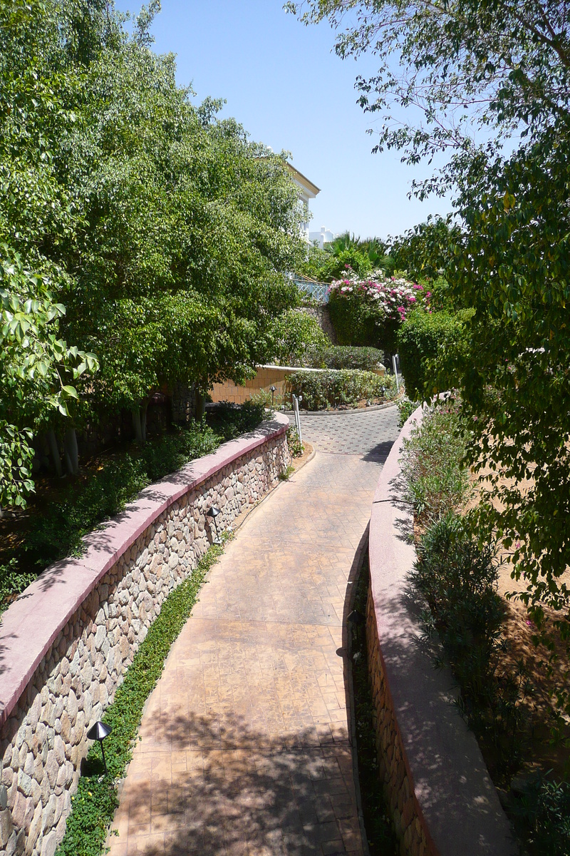 照片 埃及(Egypt) 沙姆沙伊赫(Sharm el Sheikh) 凯悦酒店(Hyatt Hotel) 2008-06 190