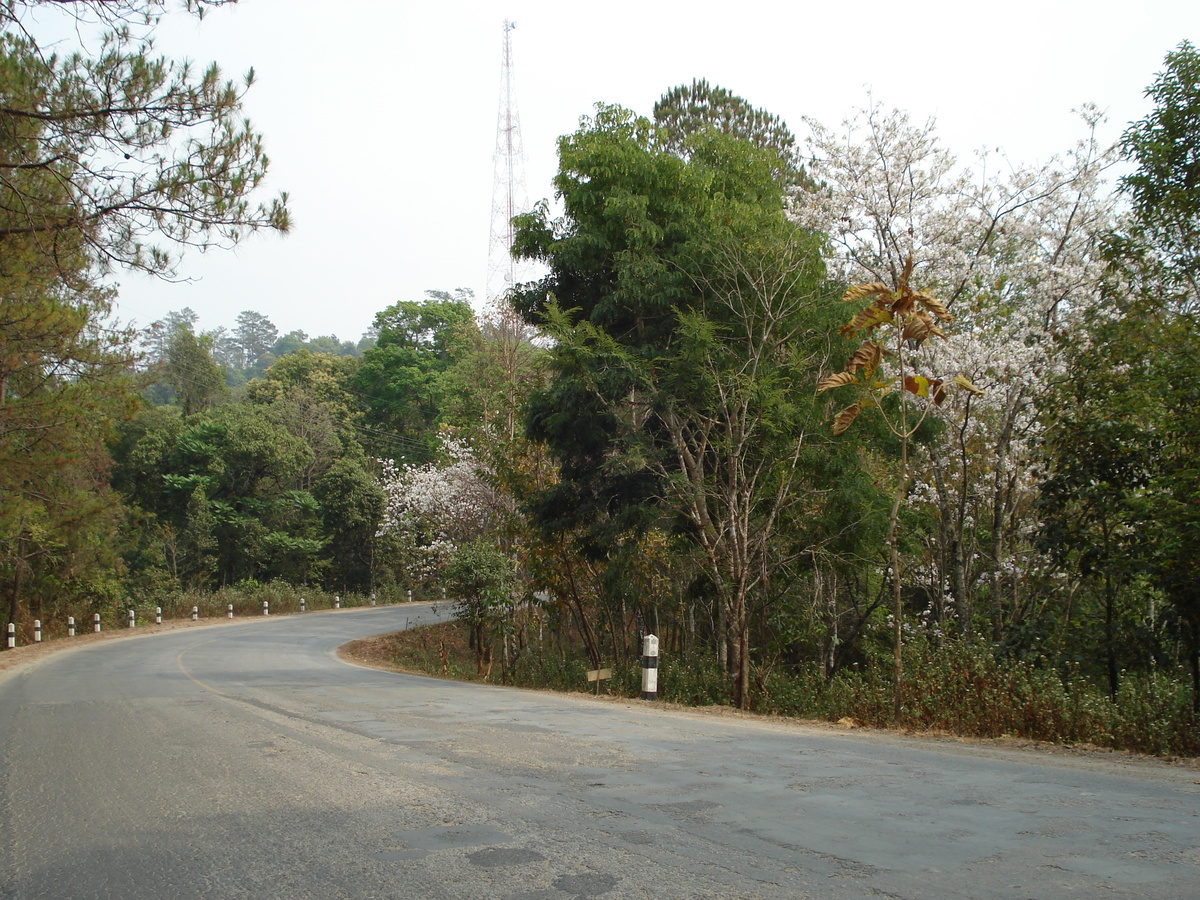 照片 泰国(Thailand) 清迈至拜县公路(Chiang Mai to Pai road) 2007-02 41