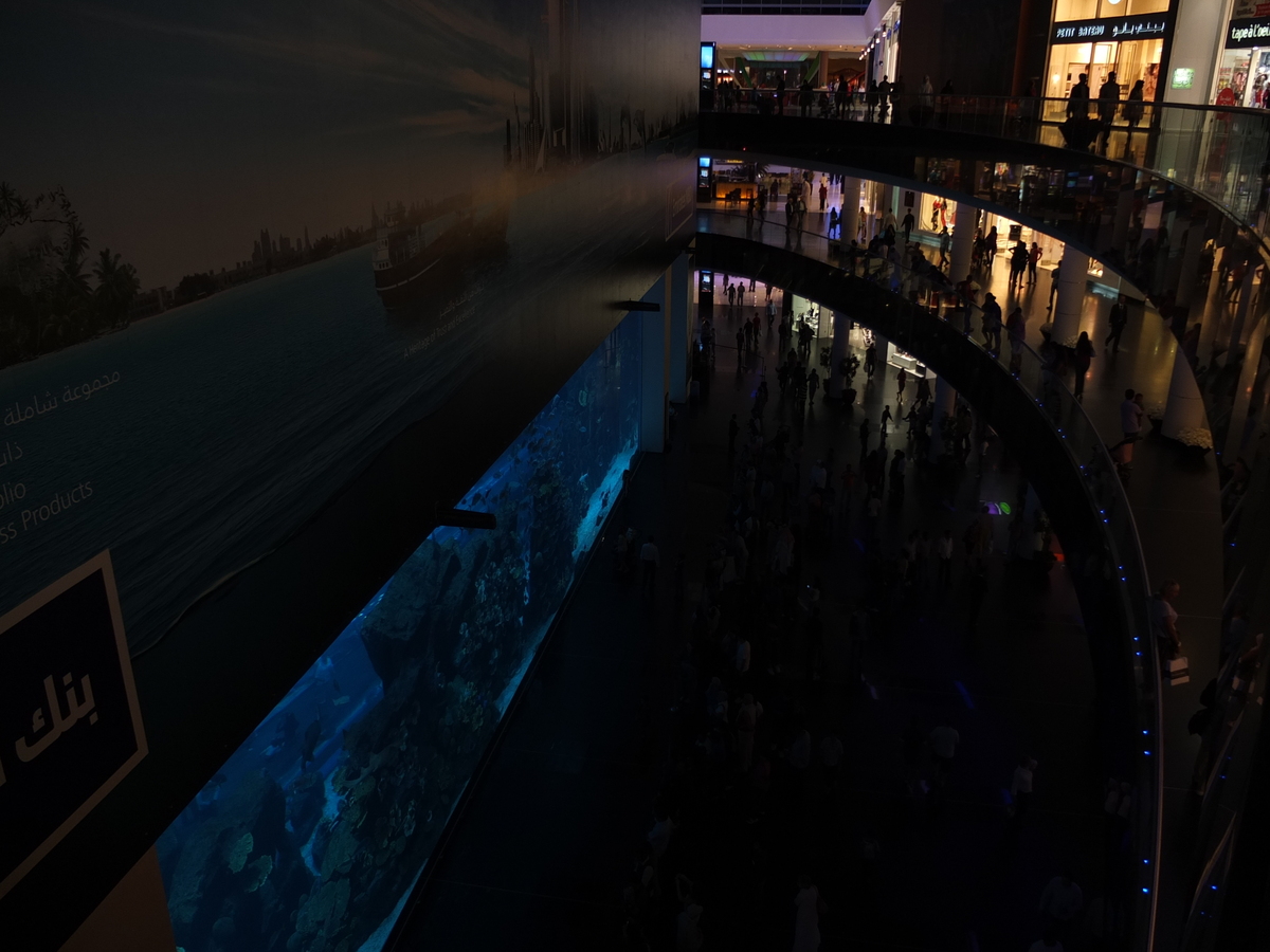 照片 阿联酋(United Arab Emirates) 迪拜(Dubai) 迪拜购物中心(The Dubai Mall) 2011-12 15