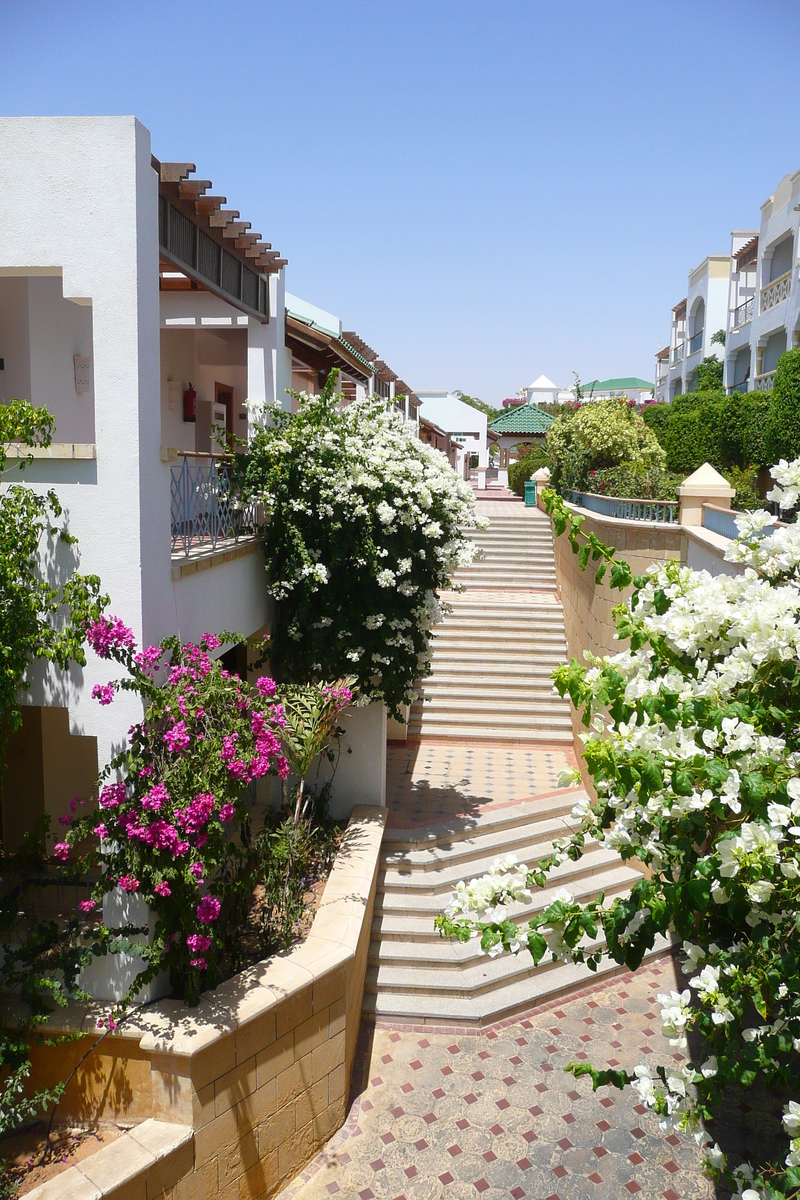 照片 埃及(Egypt) 沙姆沙伊赫(Sharm el Sheikh) 凯悦酒店(Hyatt Hotel) 2008-06 177