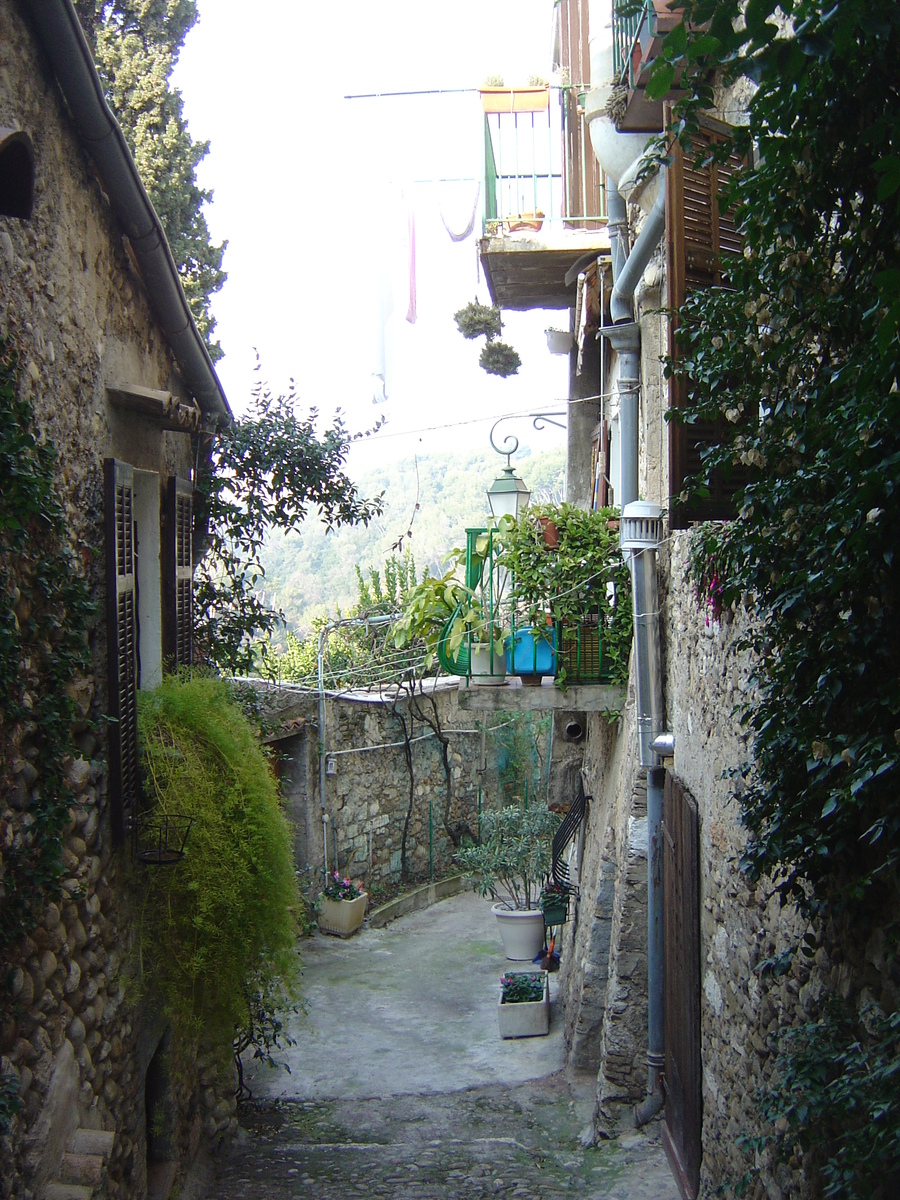 照片 法国(France) 上卡涅(Les Hauts de Cagnes) 2006-01 47