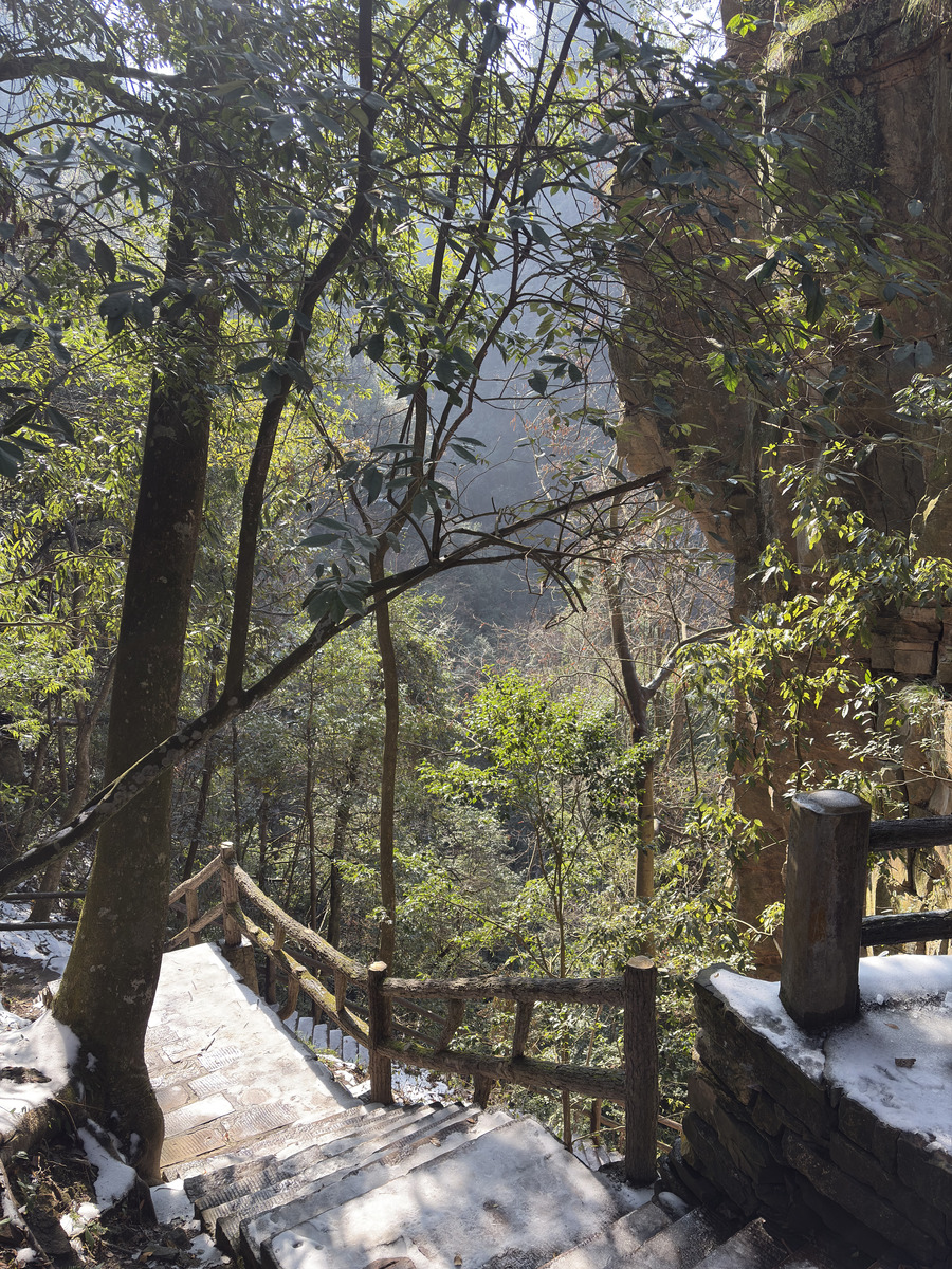照片 中国(China) 张家界(Zhangjiajie) 天子山(Tianzi Mountain) 2026-01 73