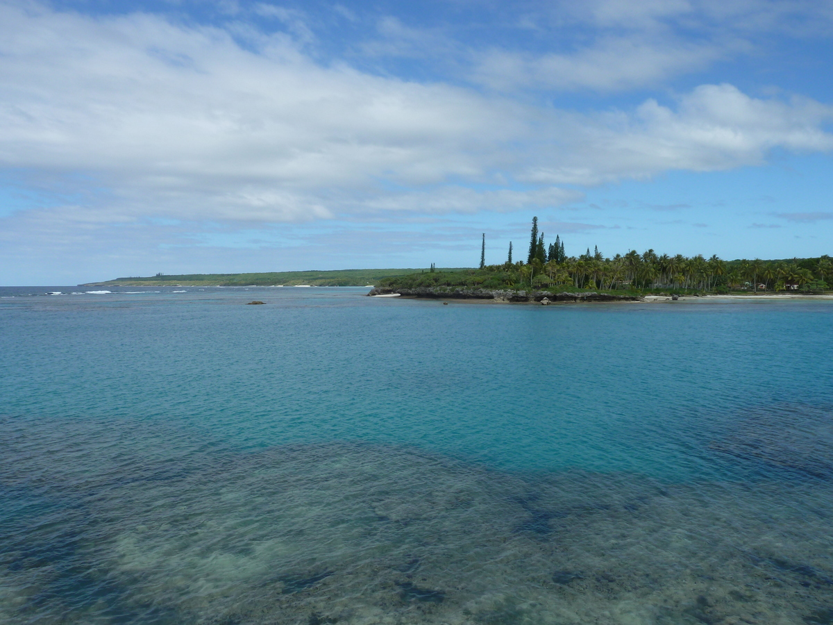 照片 新喀里多尼亚(New Caledonia) 利富岛(Lifou) 海龟湾(Baie des tortues) 2010-05 21