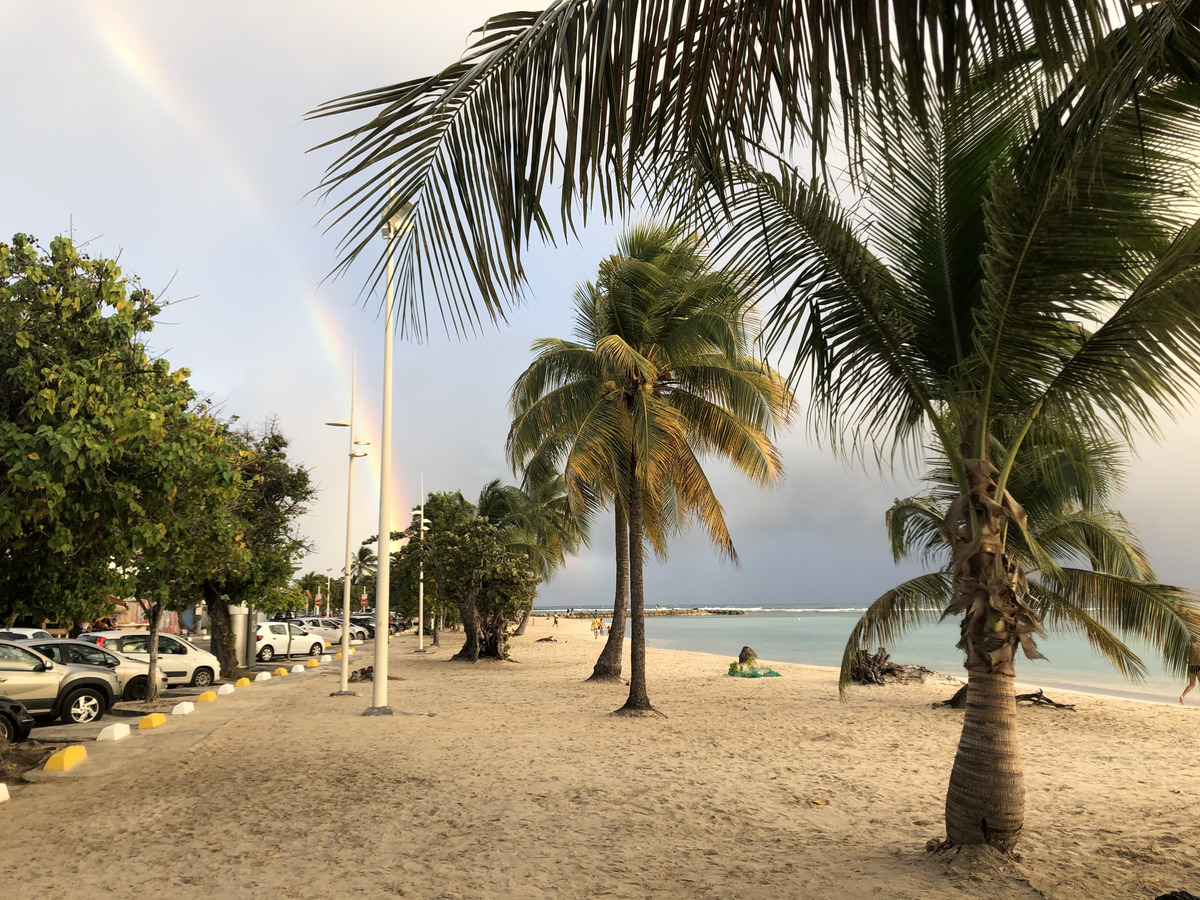 照片 瓜德罗普(Guadeloupe) 圣安妮(Sainte Anne) 2021-02 17