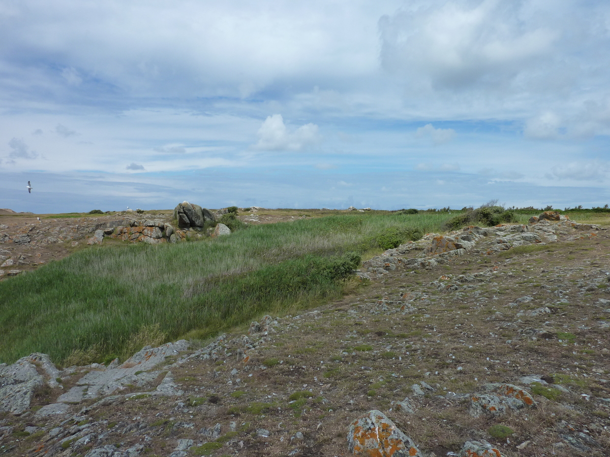 照片 法国(France) 伊厄岛(Ile d'yeu) 2009-07 99