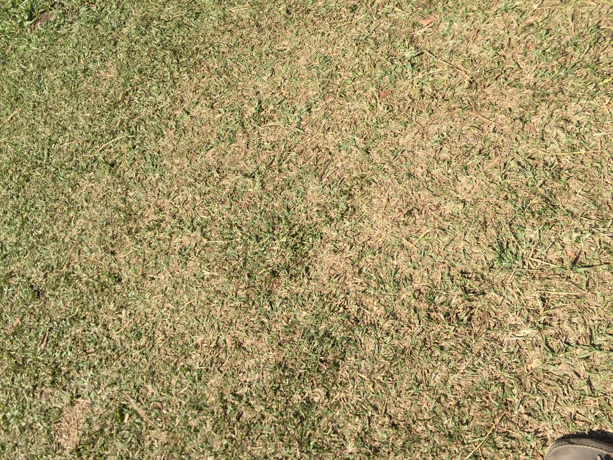 照片 泰国(Thailand) 普欣隆卡国家公园(Phu Hin Rong Kla National Park) 2014-12 368