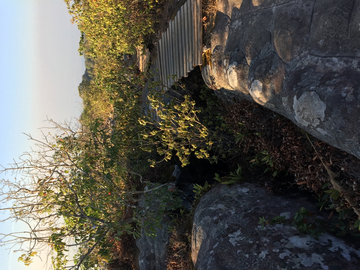 照片 泰国(Thailand) 普欣隆卡国家公园(Phu Hin Rong Kla National Park) 2014-12 1