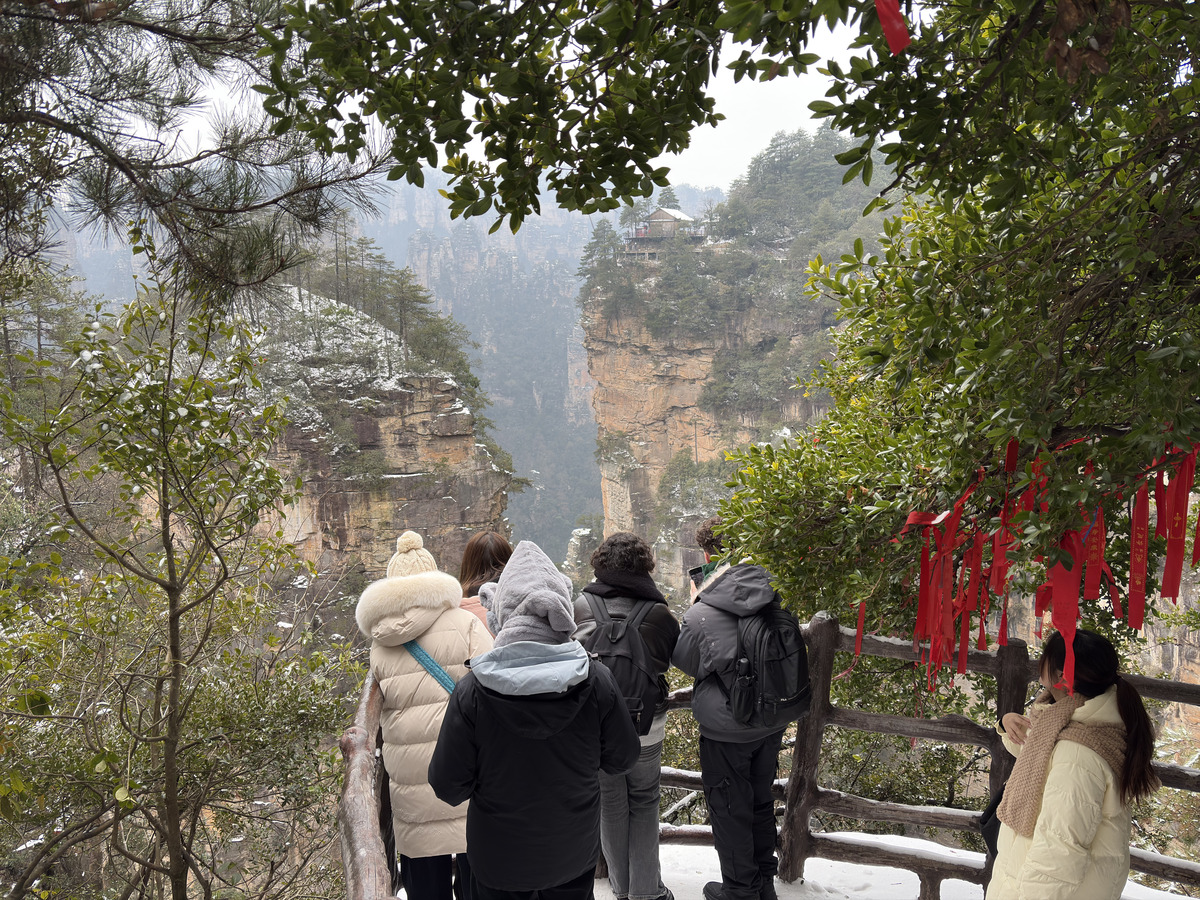照片 中国(China) 张家界(Zhangjiajie) 2026-01 75