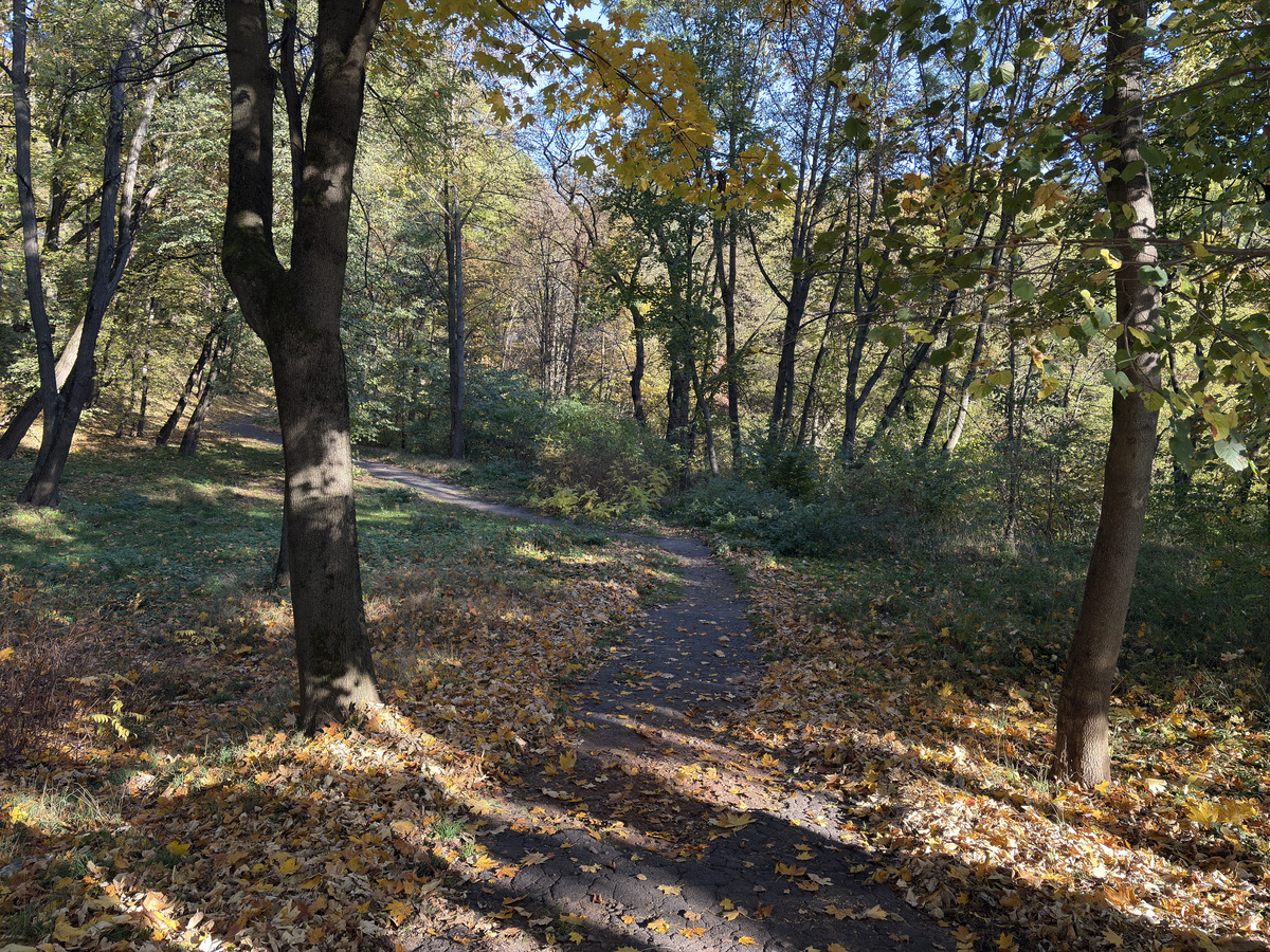 照片 乌克兰(Ukraine) 利沃夫(Lviv) 2024-10 287