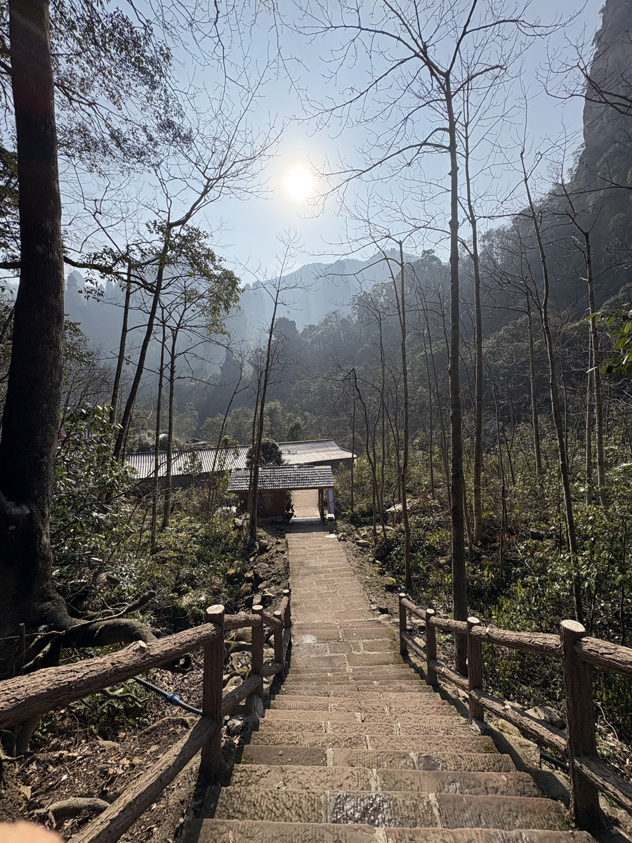 照片 中国(China) 张家界(Zhangjiajie) 天子山(Tianzi Mountain) 2026-01 371