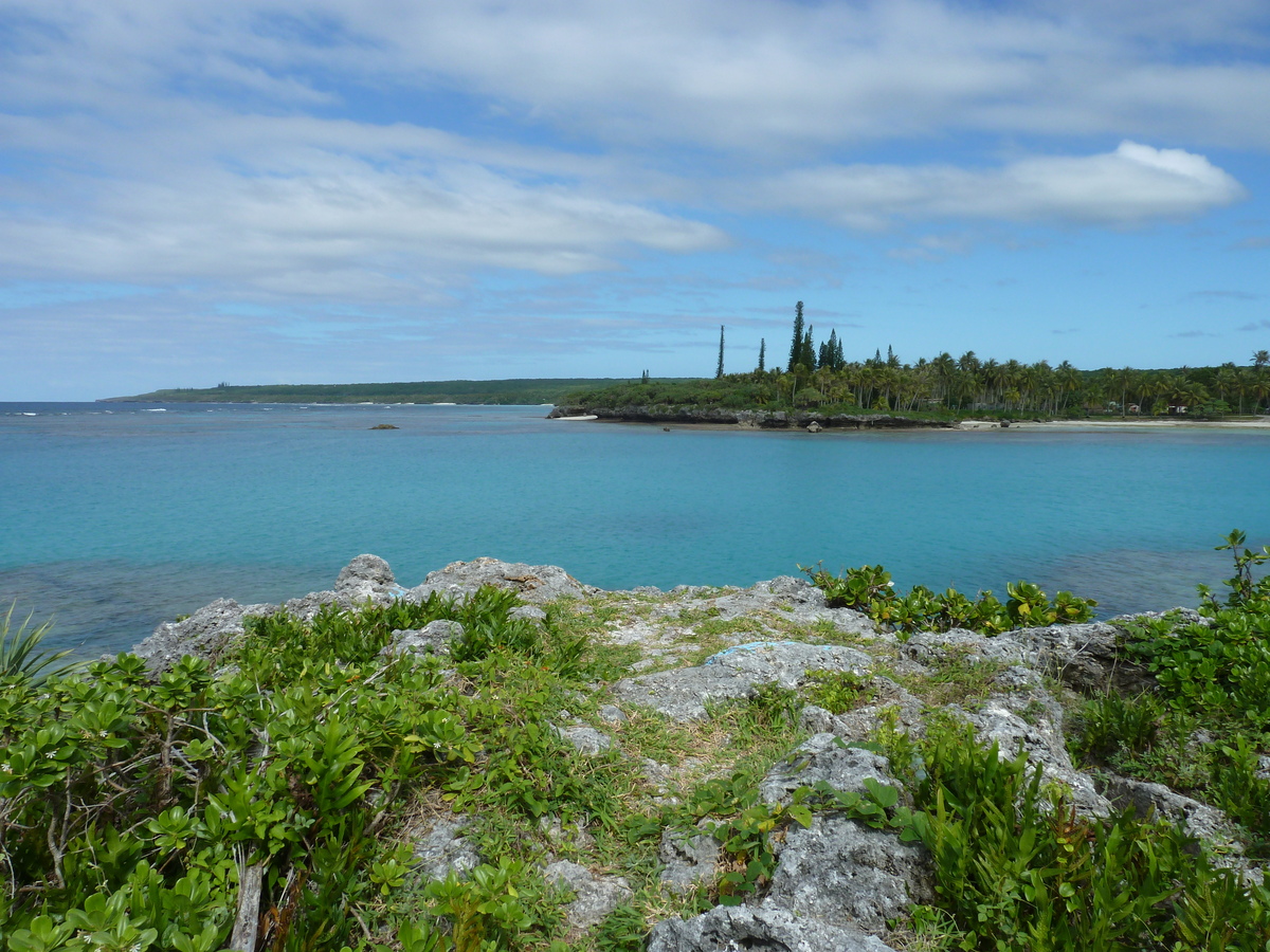 照片 新喀里多尼亚(New Caledonia) 利富岛(Lifou) 海龟湾(Baie des tortues) 2010-05 14