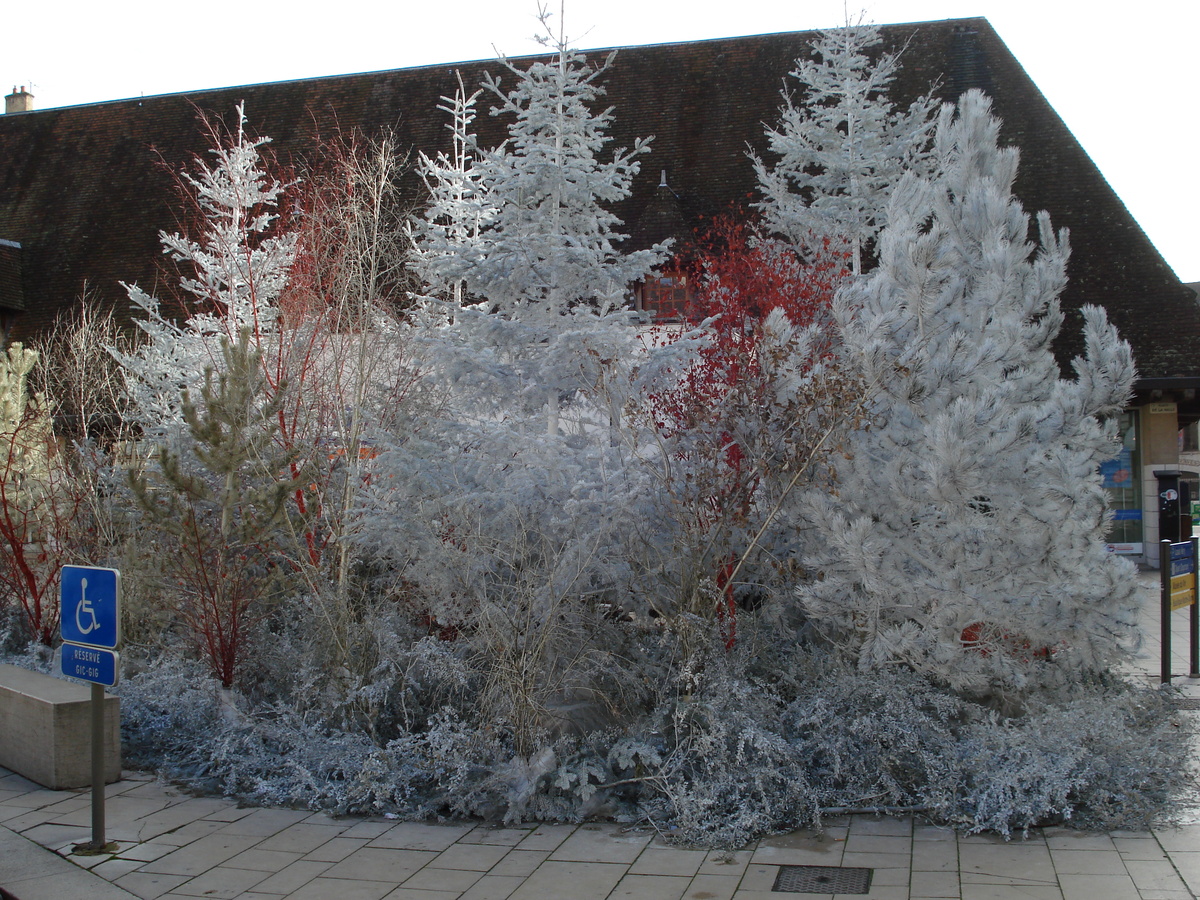 照片 法国(France) 博讷(Beaune) 2007-01 56