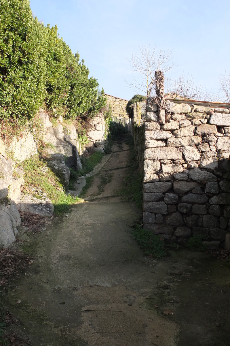 照片 西班牙(Spain) 阿利亚里斯(Allariz) 2013-01 56