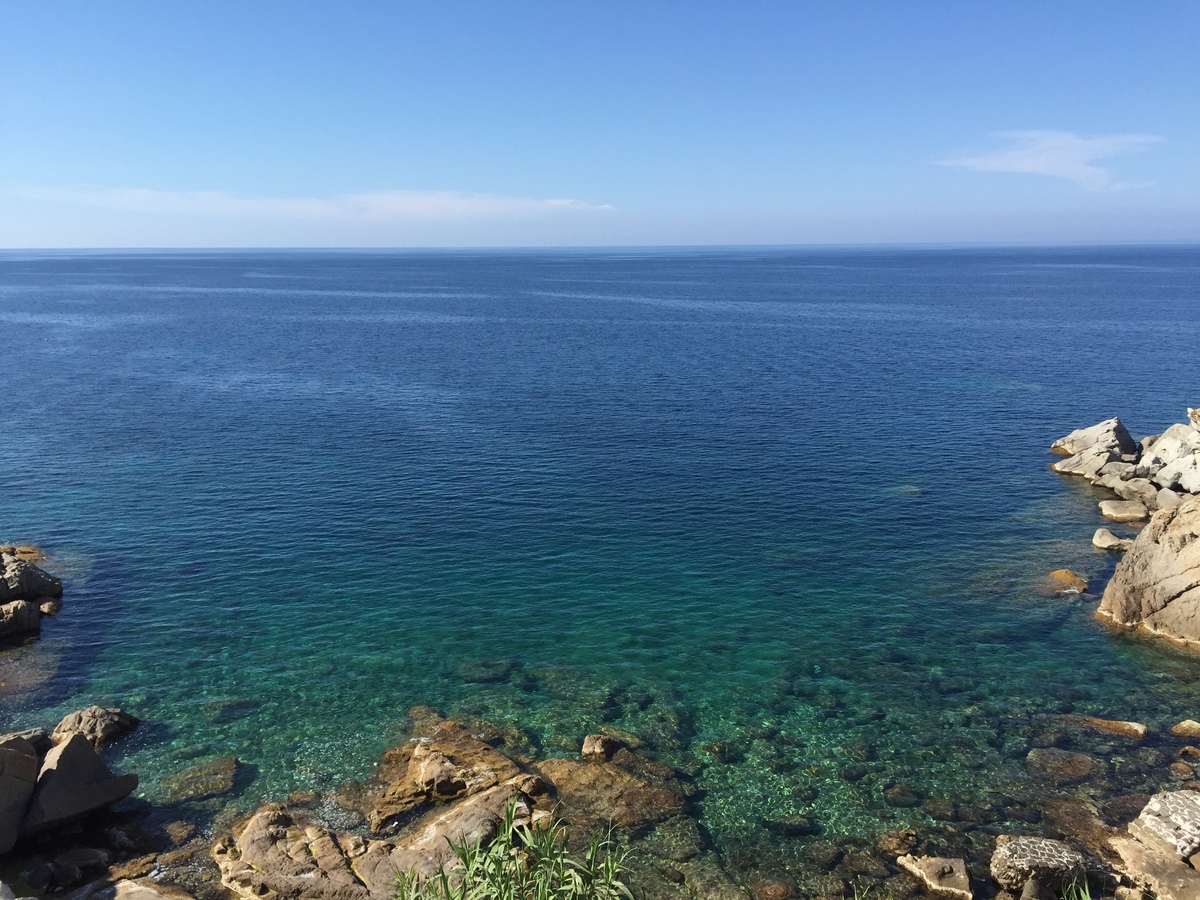照片 法国(France) 科西嘉岛(Corsica) 卡尔维(Calvi) 2015-05 60