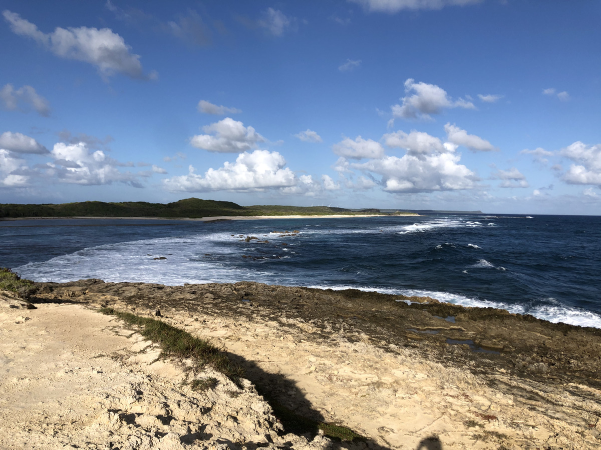 照片 瓜德罗普(Guadeloupe) 城堡角(Castle Point) 2021-02 220