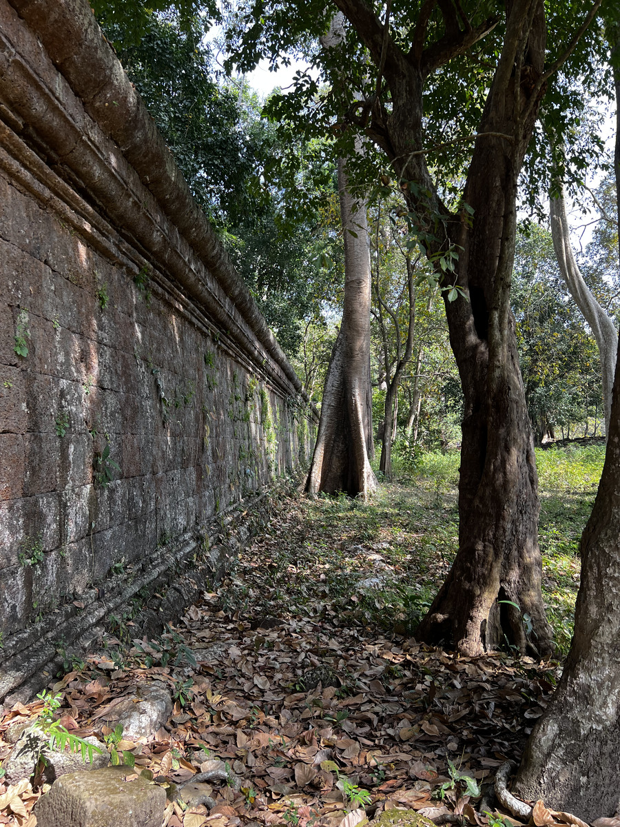照片 柬埔寨(Cambodia) 暹粒(Siem Reap) 吴哥通王城(Angkor Thom) 2023-01 38