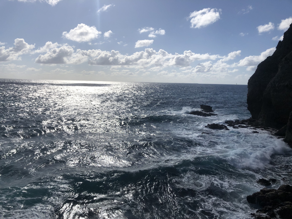 照片 瓜德罗普(Guadeloupe) 城堡角(Castle Point) 2021-02 107