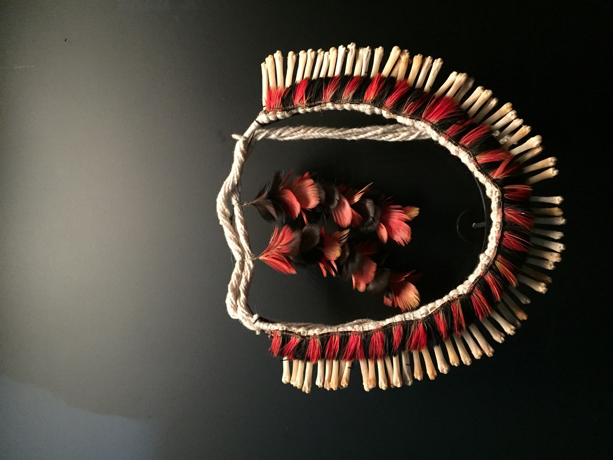 照片 法国(France) 巴黎(Paris) 布朗利河岸博物馆(Quai Branly Museum) 2015-09 29