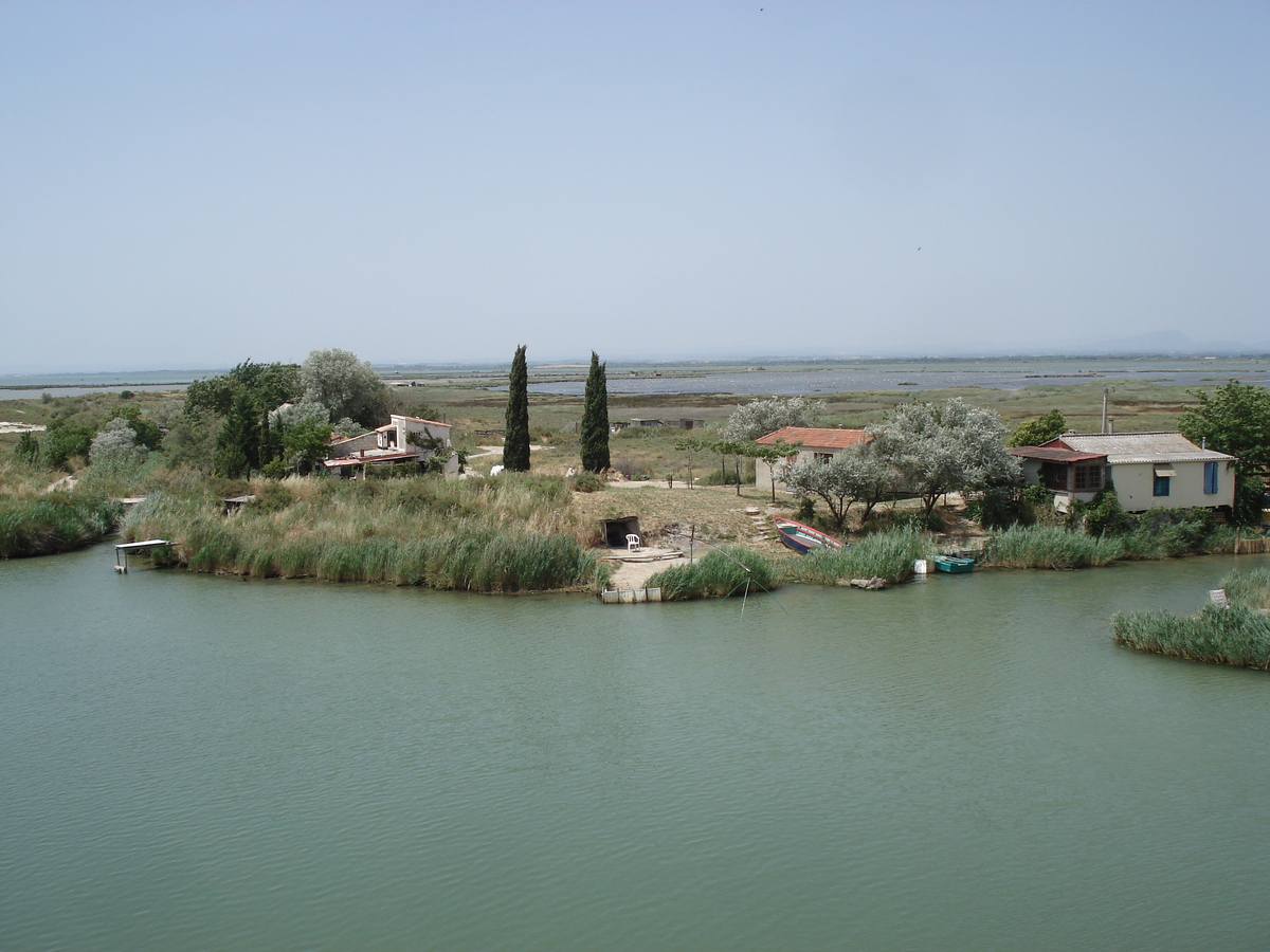 照片 法国(France) 卡马格(Camargue) 2006-06 1