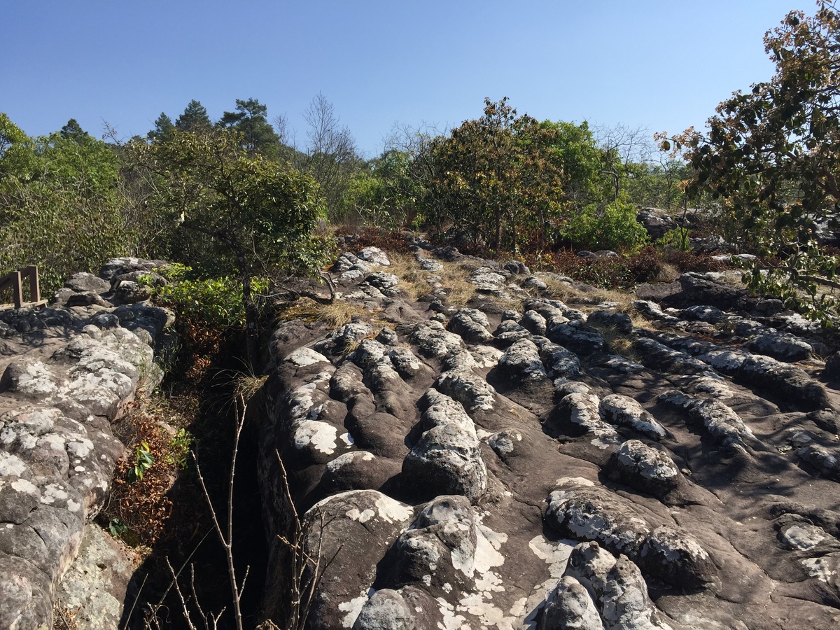 照片 泰国(Thailand) 普欣隆卡国家公园(Phu Hin Rong Kla National Park) 2014-12 90